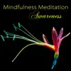 Meditation Masters & Asian Zen Meditation - Mindfulness Meditation Awareness - Peaceful Music for Deep Zen Meditation & Well Being