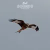 Nature Recordings - Bird Sounds Natural Sleep Aid - EP