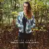 Alice Lamb - Smells Like Teen Spirit (Acoustic) - Single