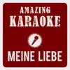 Amazing Karaoke - Meine Liebe, meine Stadt, mein Verein (Karaoke Version) [Originally Performed By Domstürmer] - Single