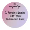 DJ Romain & Nedelka - I Didn't Know (Da Jook Joint Mixes) - Single